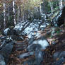 Trip up Rattlesnake point