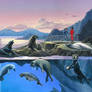 Oceanarium: More Sea Mammals