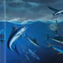 Oceanarium: The Open Sea