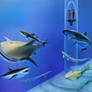 Oceanarium: Sharks of the Open Sea