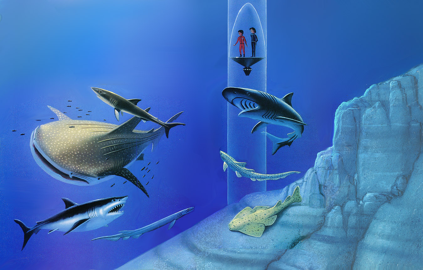 Oceanarium: Sharks of the Open Sea