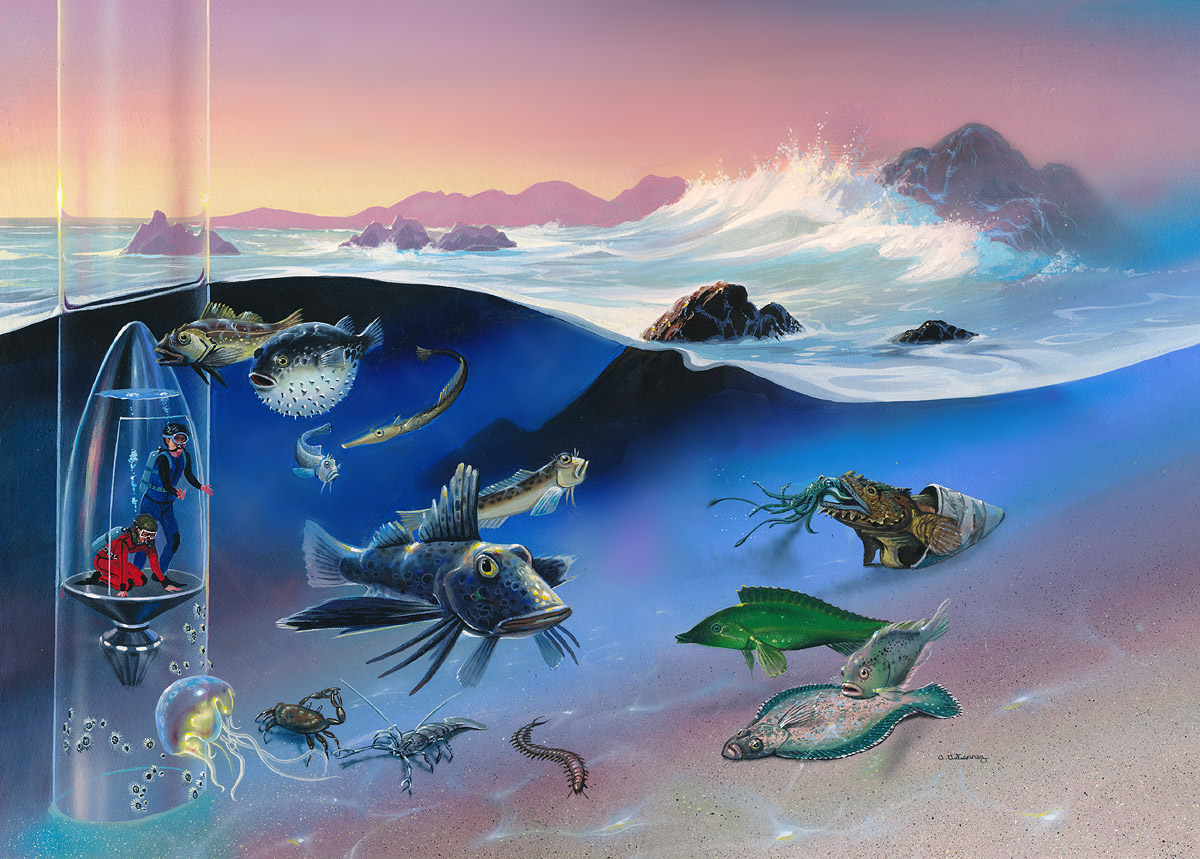 Oceanarium: Tidal Waters