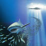 Oceanarium: Schools Of Fish