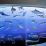Oceanarium: The Ocean Waters