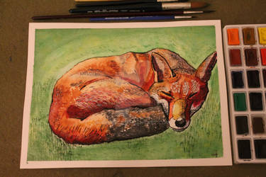 Sleeping Fox