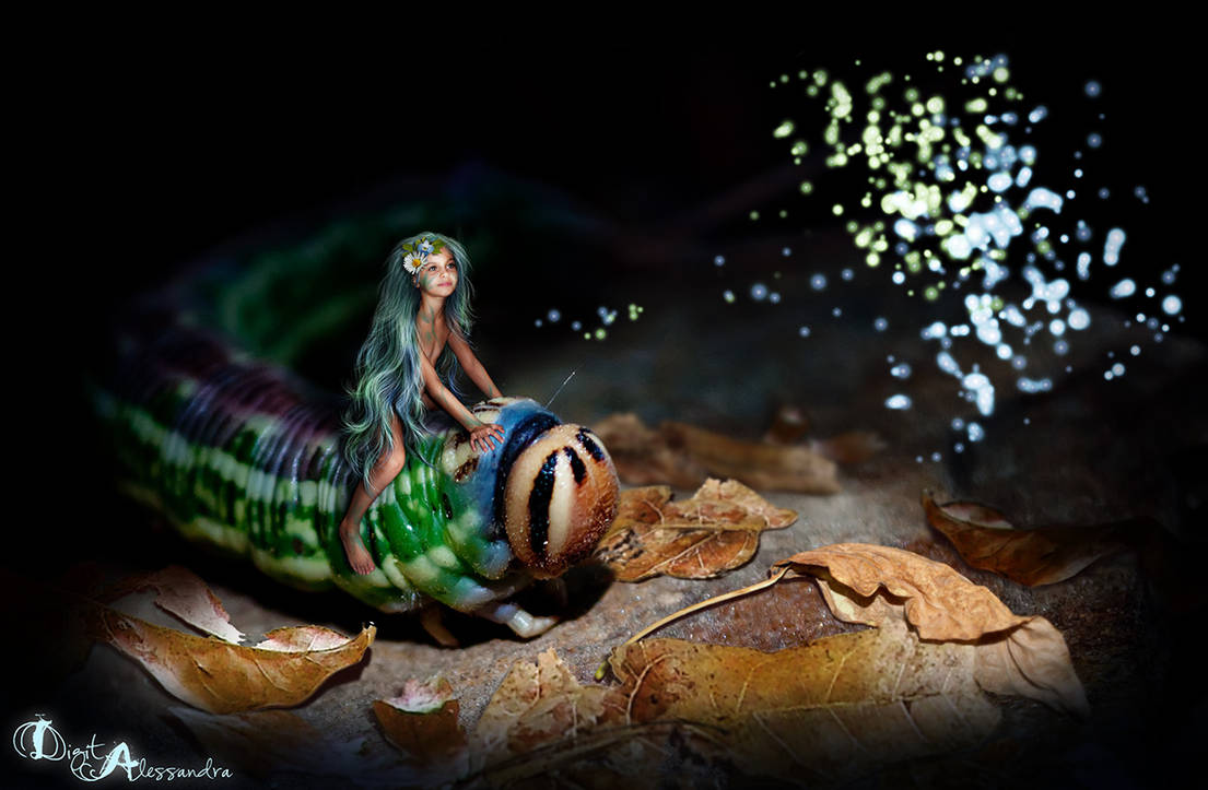 Caterpillar Fairy by digitalessandra