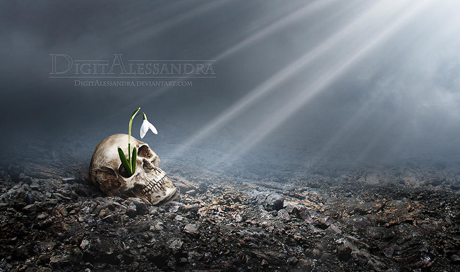 Renewal by digitalessandra Renewal by digitalessandra