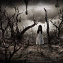 In a wood of dead trees (no painting effect)
