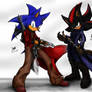 Sonic and Shadow