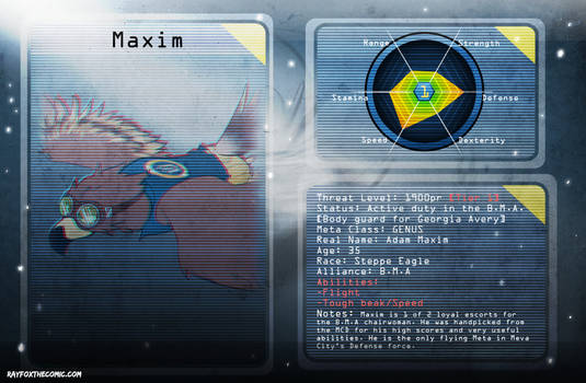 Meta Database Profile Maxim