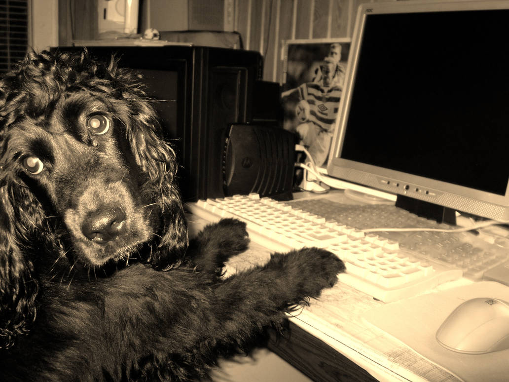 Computer addict by Chayenne1991 on DeviantArt