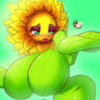 FFF 10-Miss Sunflower