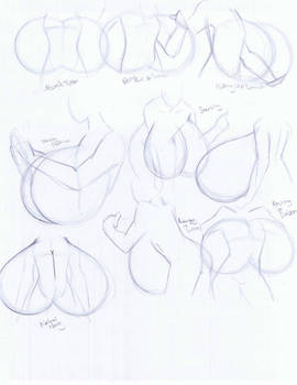 03061401- Large Bust Forms and Positions