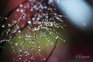 Tree of Tears by Yoonett Tree of Tears by Yoonett