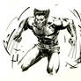 Wolverine