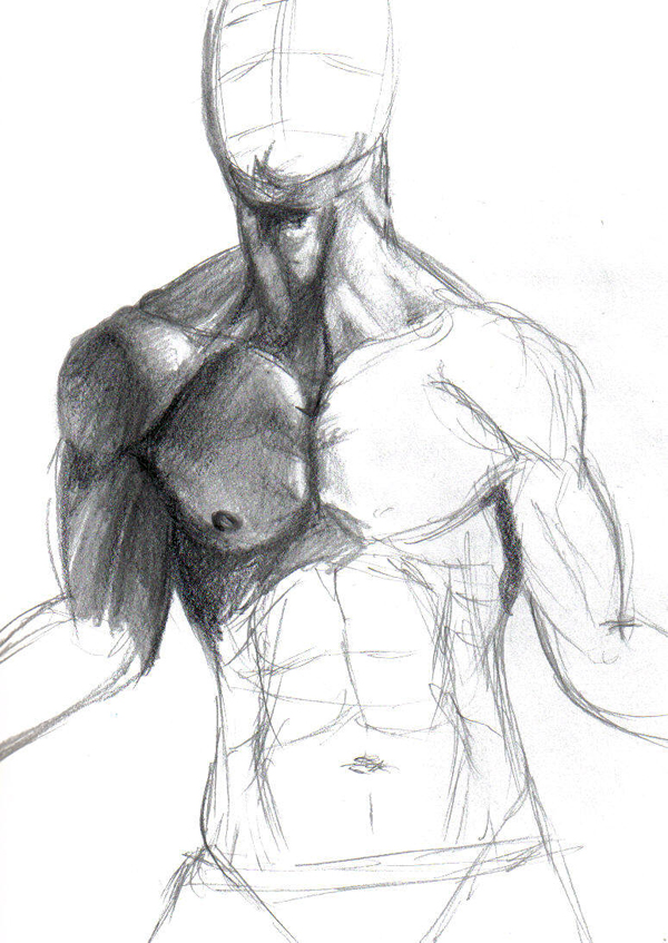 Male anatomy study WIP