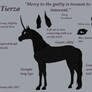 Tierza Reference
