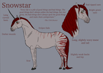 Snowstar Reference