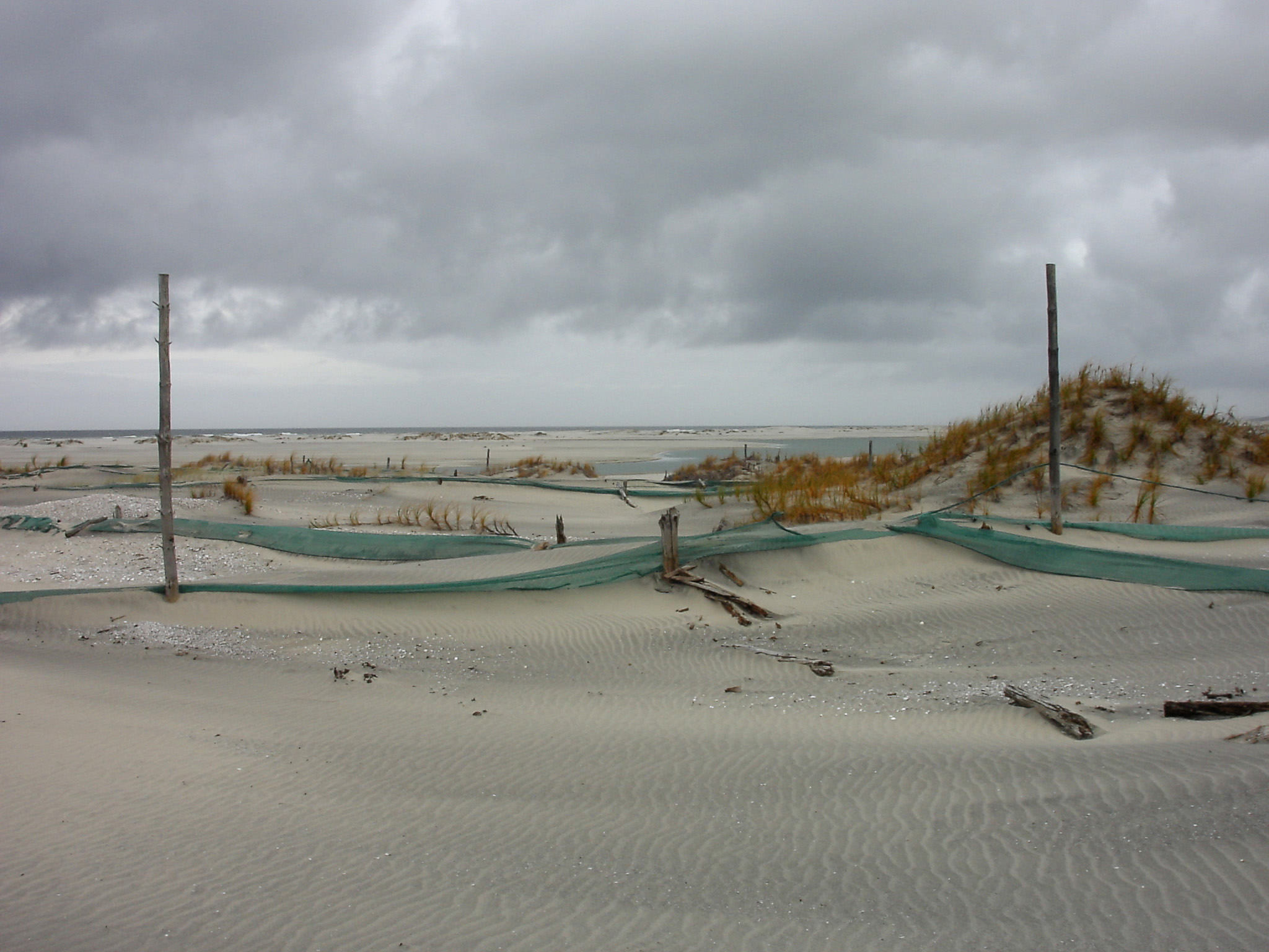 Framed Dunes