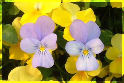 Do Ra Me... by Cloudedarsenic on DeviantArt