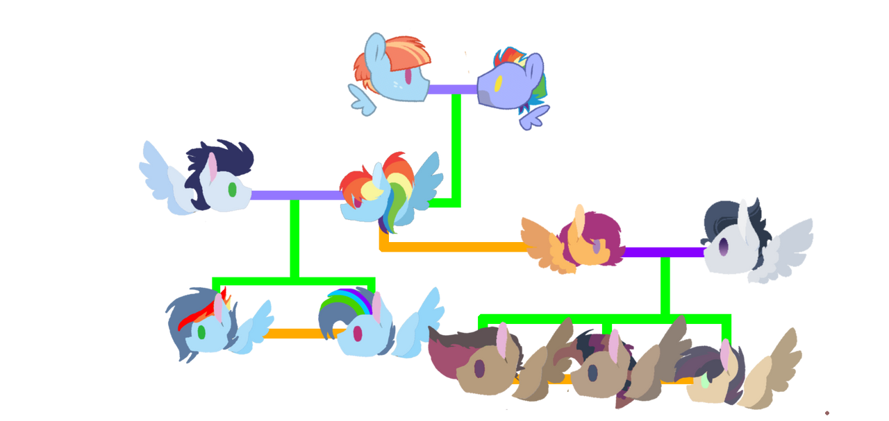Rainbow dash family tree by Twinklelily2311 on DeviantArt