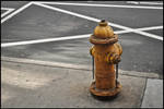 Fire Hydrant by eyeonthedollar