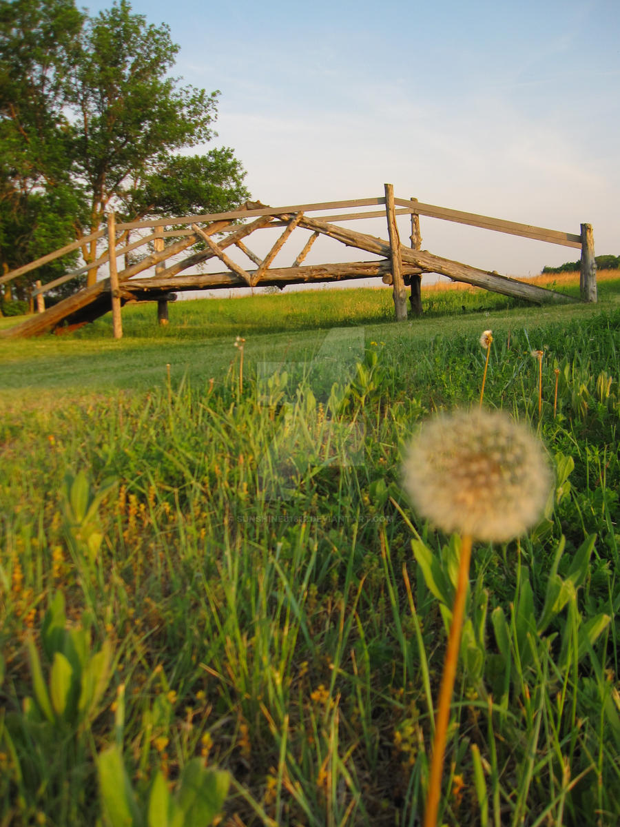 Dandelion Bridge