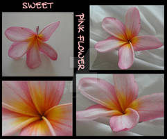 Sweet Pink Flower