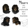 AtA Character Sheet - Navarre