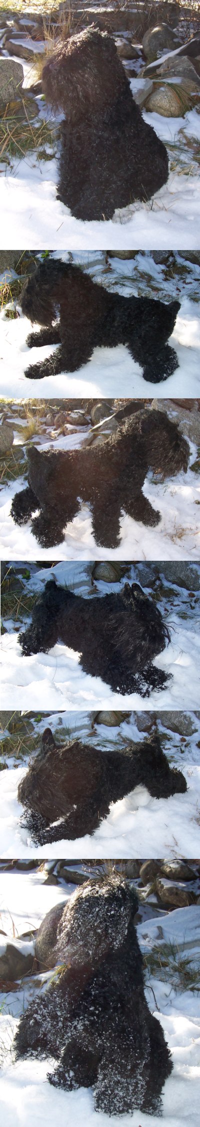 Black Russian Terrier Doll 2