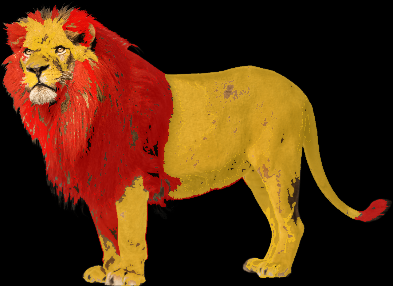 Simba in Live Action by Barbourosaurus on DeviantArt