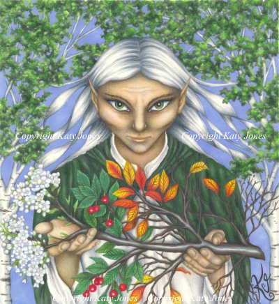 Elf Druid