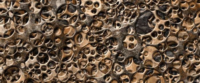 Bones of the world Wallpaper
