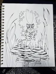 Water Tiger Fairy