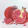 Pomegranate Passion - Study