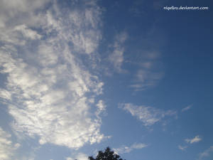 I Love Blue Sky