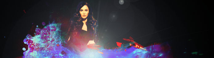 Megan Fox banner