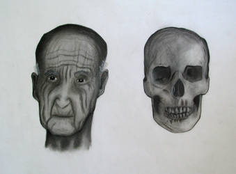 skull series 1