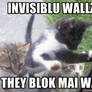 Invisible Wall -Meme-