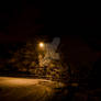 Darkness on a snowy street