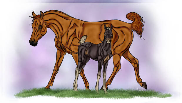 Arabian Mare and Foal