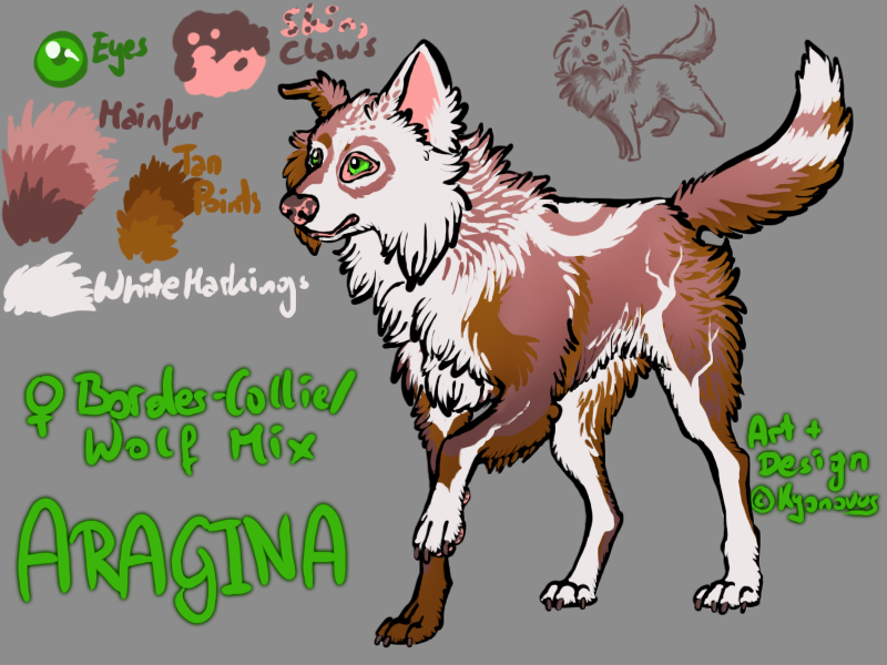 Collie hot sale wolf mix
