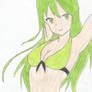 Midori Swimsuit