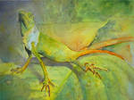 The Lizard by AkinAdekile