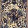 Haeckel Variation 5