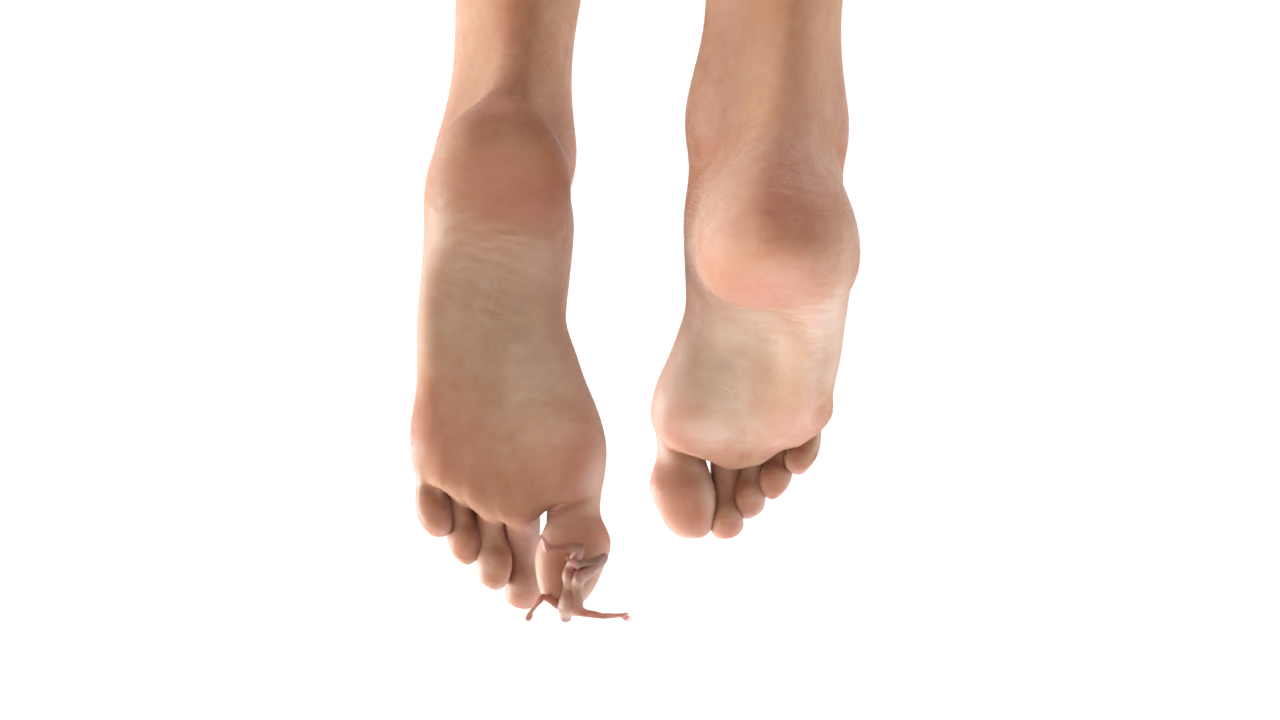 Tiny Traped Under Giantess Big Toe By Posxd On Deviantart Tiny Traped Under Giantess Big Toe By Posxd On Deviantart