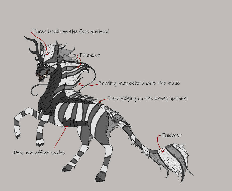 Banding by Drakiri-Archives Banding by Drakiri-Archives