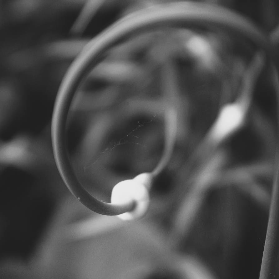 Day 3 - pictober2024 - Curve by Davincigirl on DeviantArt