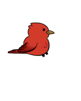 Summer tanager