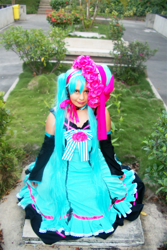 Miku Cosplay Special